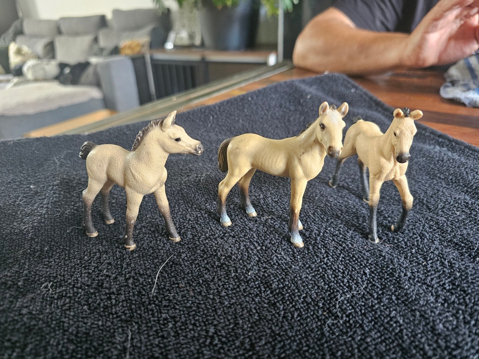 Schleich Akhal-Teke merrieveulens (2011 & 2016), Ophalen of Verzenden, Gebruikt, Jongen of Meisje