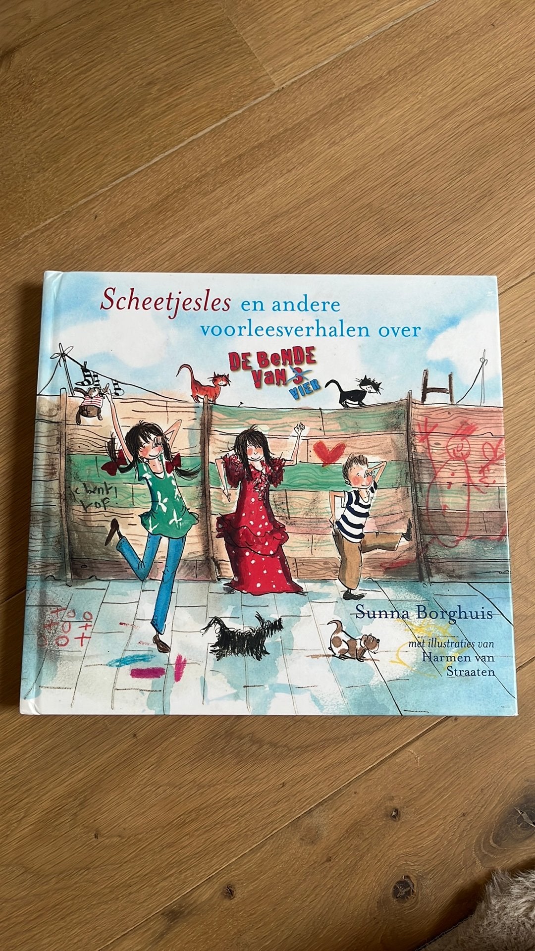 Sunna Borghuis - Scheetjesles, Sunna Borghuis, Fictie algemeen, Ophalen of Verzenden, Zo goed als nieuw