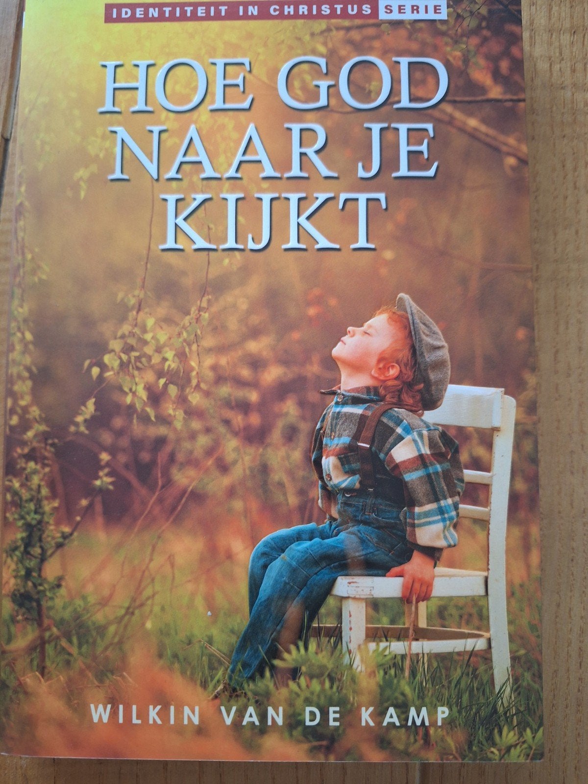 Hoe God naar je kijkt - Wilkin van de Kamp, Boeken, Ophalen of Verzenden, Zo goed als nieuw, Wilkin van de Kamp, Christendom | Protestants
