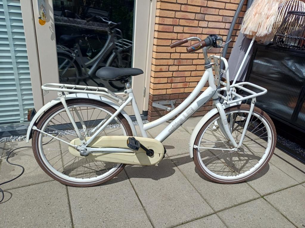 Cortina U4 24 inch, Fietsen en Brommers, Fietsen | Meisjes, Terugtraprem, Versnellingen, Ophalen of Verzenden, Cortina