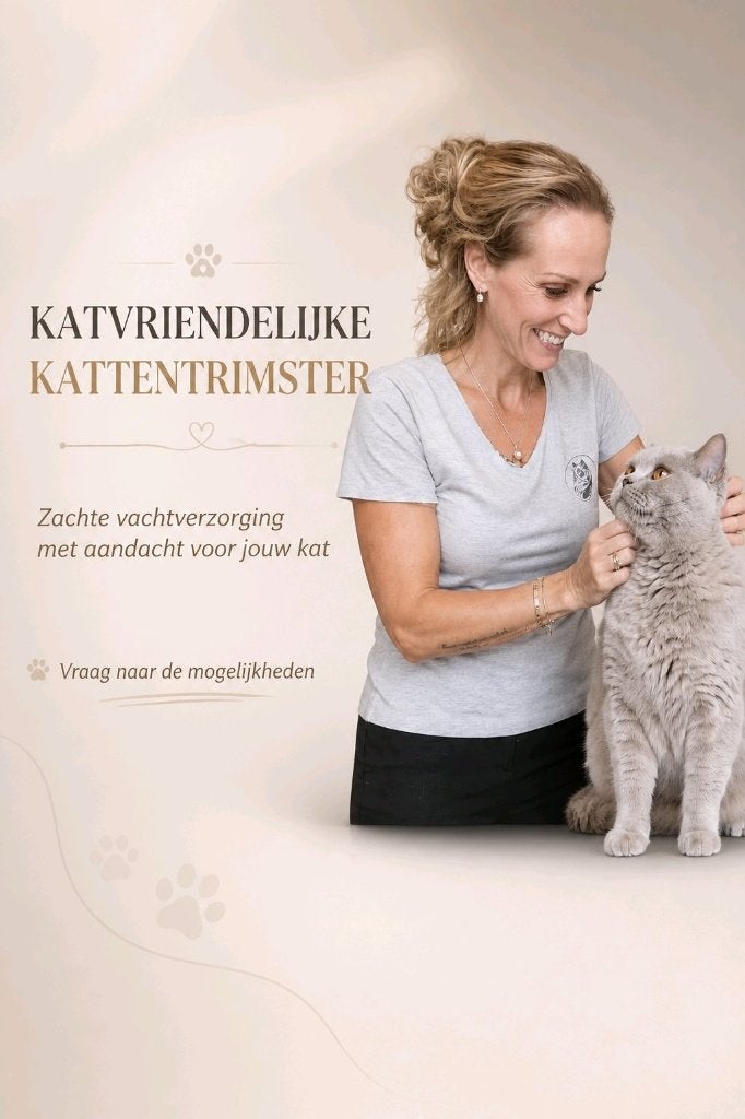 Professionele kattentrimster | Reeuwijk | Het Kattenhof, Trimmen of Verzorging