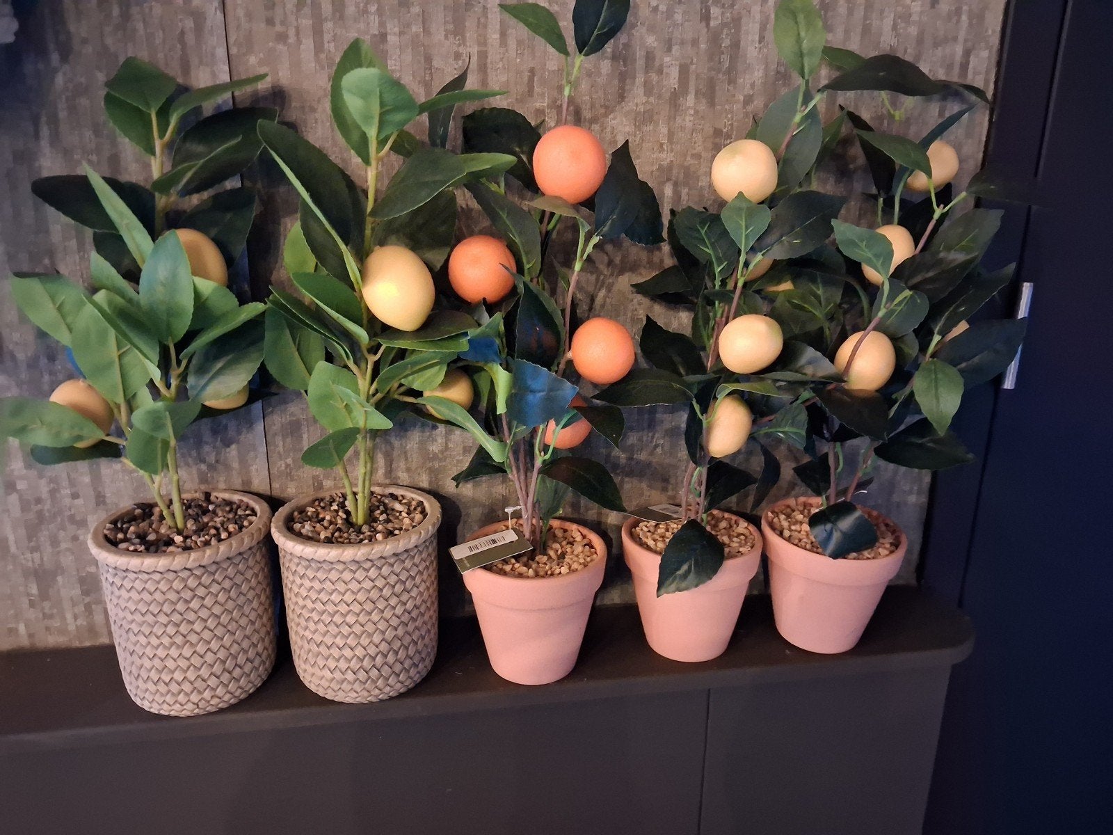Kunstplantjes citroen en sinaasappel - set van 5, Binnen, Met pot of vaas, Kunstplant, Nieuw