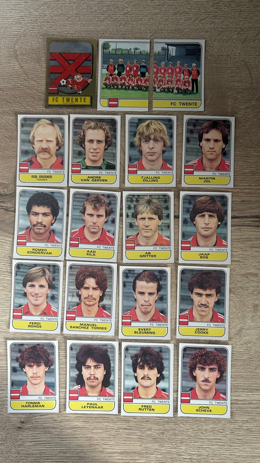 Panini Voetbal 82 plaatjes FC Twente 19x, Verzenden, Zo goed als nieuw, Meerdere plaatjes