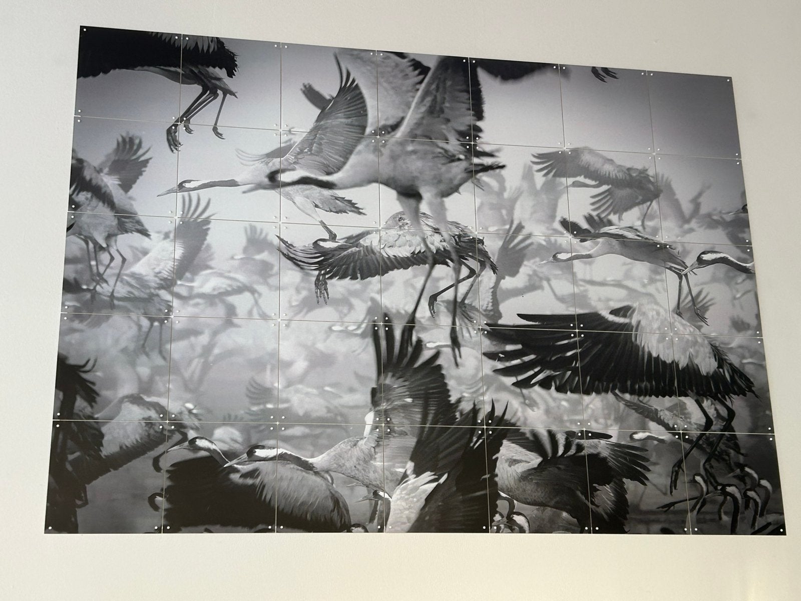 Ixxi kraanvogels 100x140 cm, Ophalen of Verzenden, Overige typen, Overige technieken