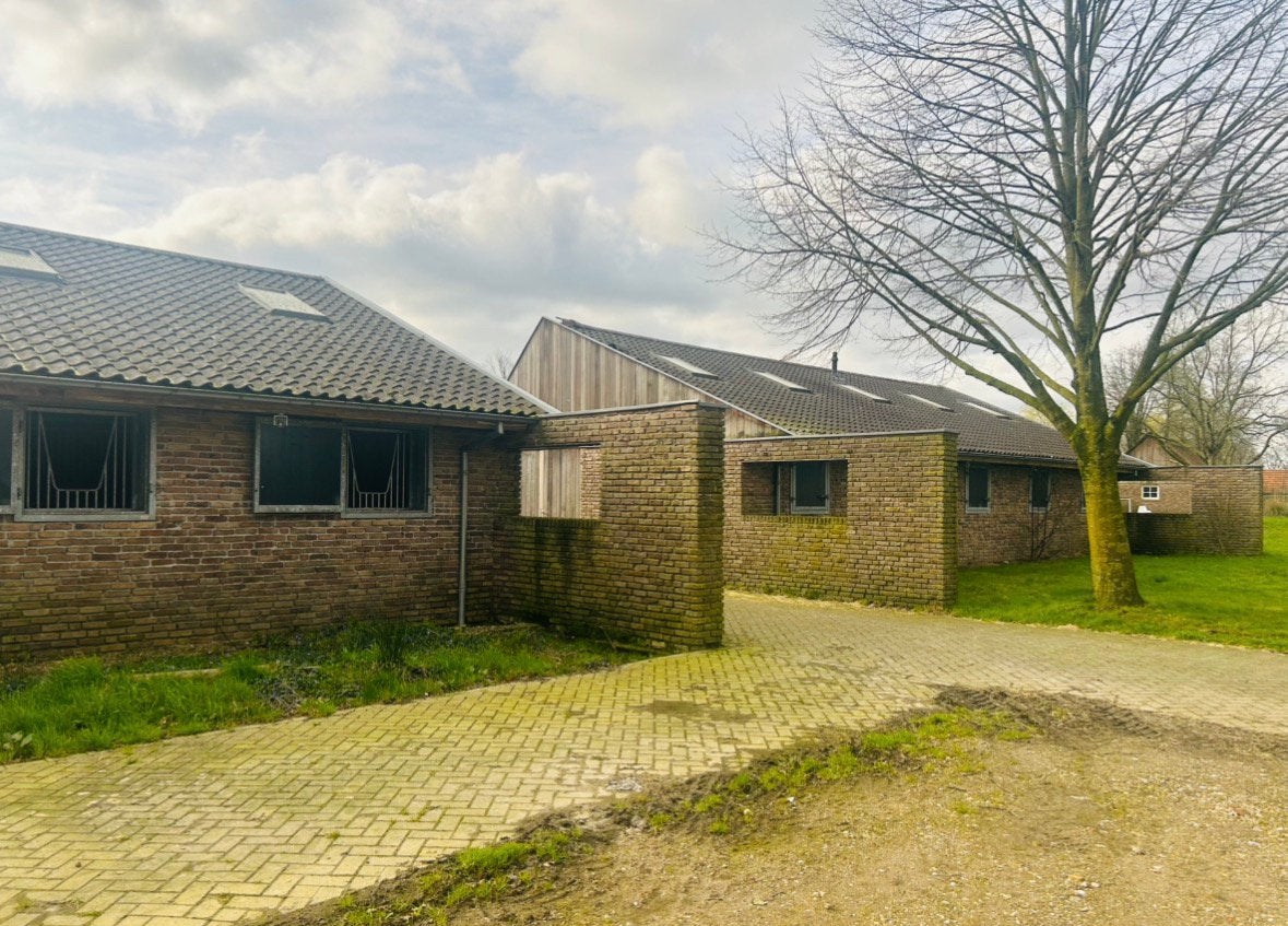 Gezocht: paard die i.v.m. blessure op stal moet, Stalling