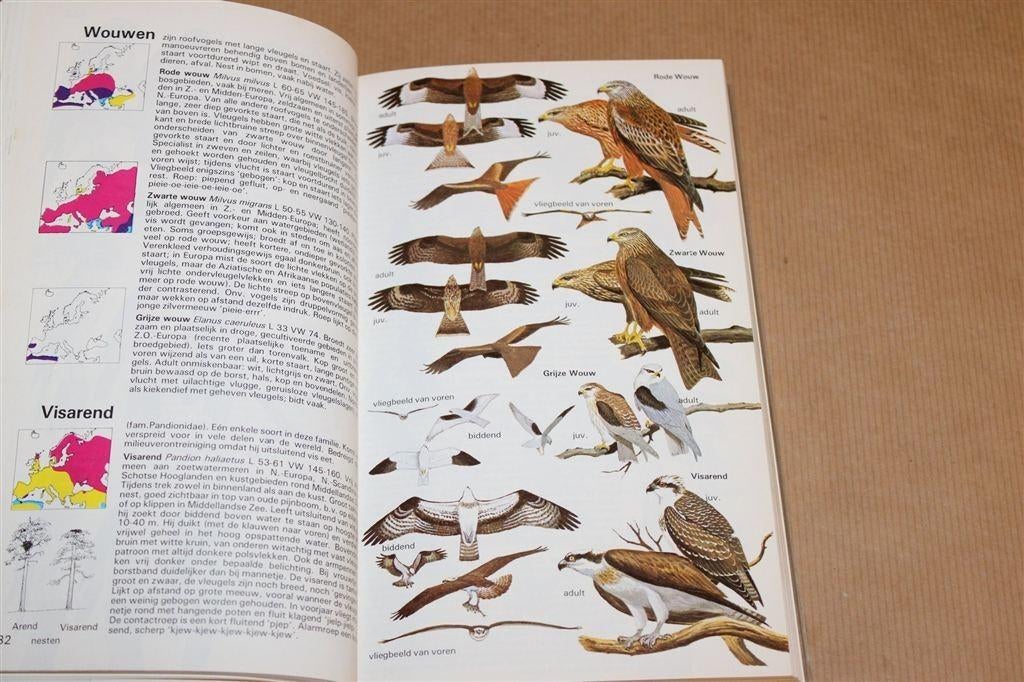 Bruun\'s / Thieme\'s Vogelgids — Alle Vogels van Europa, Ophalen of Verzenden, Gelezen, Vogels