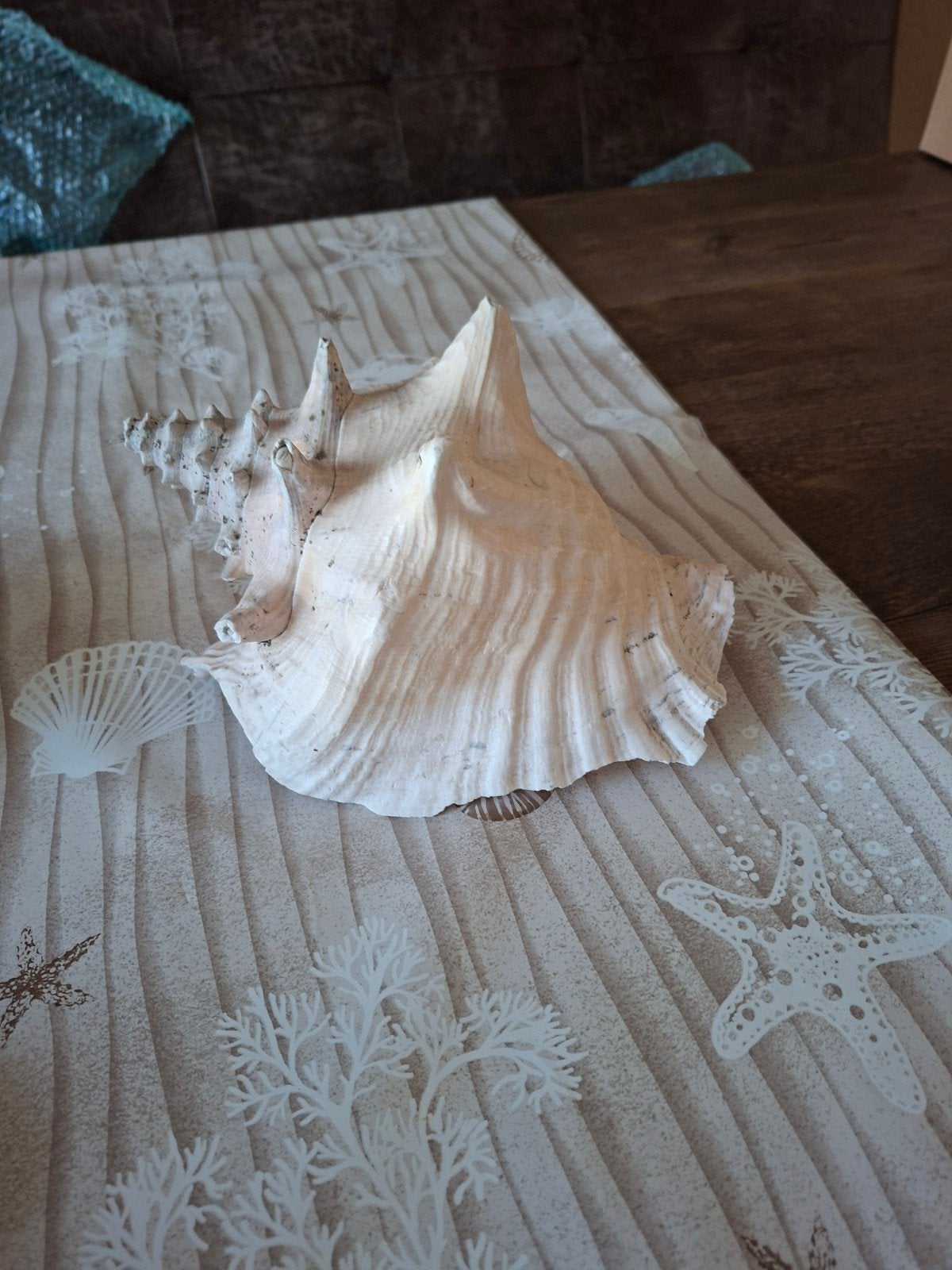 Grote decoratieve schelp, Ophalen of Verzenden, Zo goed als nieuw