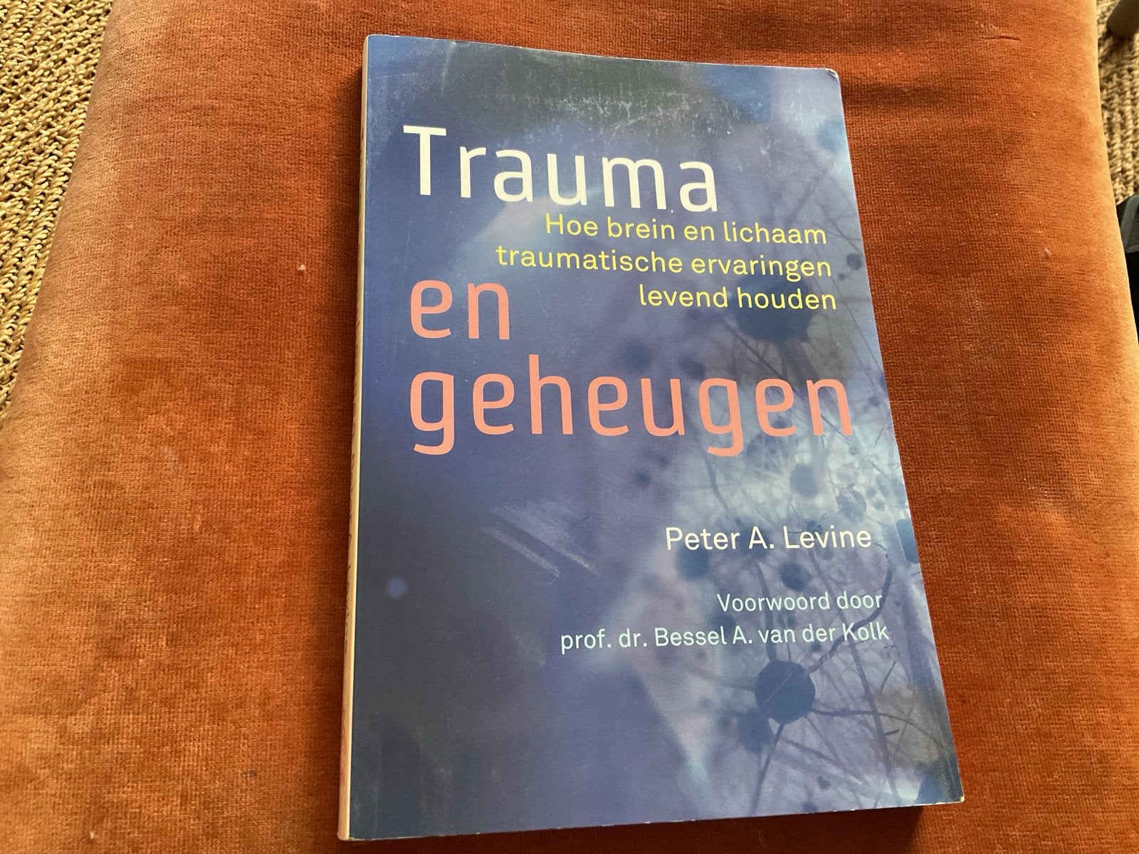 Trauma en Geheugen - Peter A. Levine, Ophalen of Verzenden, Zo goed als nieuw, Klinische psychologie