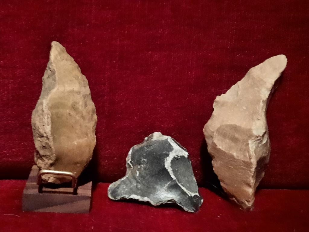 Neanderthaler artefacten set sikkel, Ophalen of Verzenden