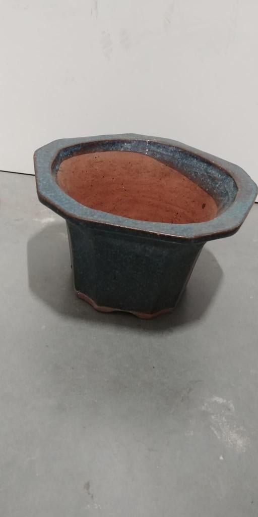 Gote geglazuurde 6 hoekige Bonsai Pot, Tuin en Terras, Bloempotten, 25 tot 40 cm, Gebruikt, Rond, Ophalen of Verzenden