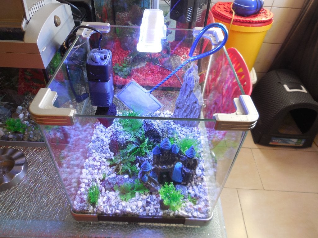 compleet kubus aquarium 30 x 30 x 30 cm, Ophalen, Inclusief toebehoren, Gebruikt, Leeg aquarium