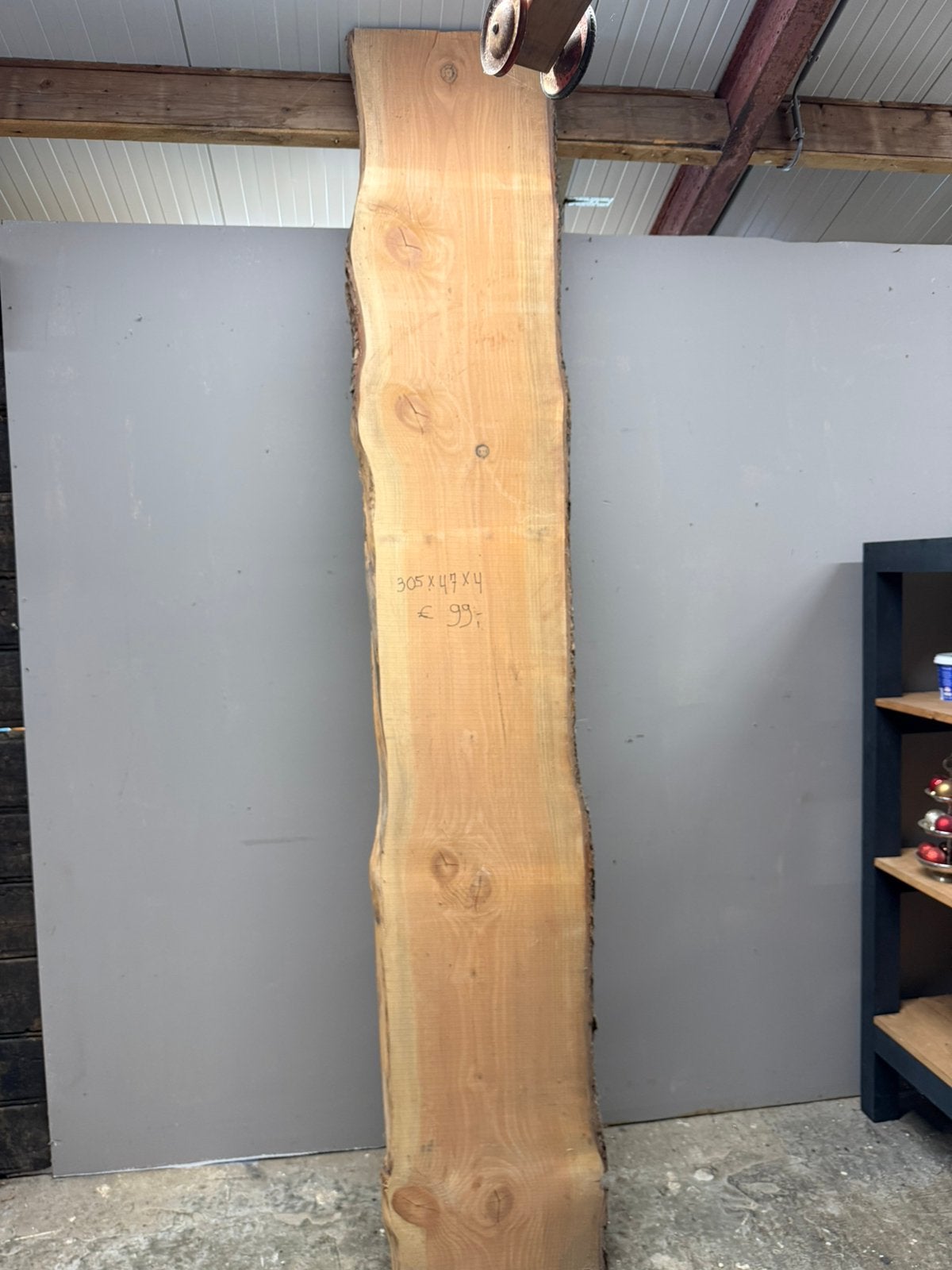 Boomstam blad schaaldeel wandplant €99 euro, Ophalen, Zo goed als nieuw, 250 cm of meer, Palen