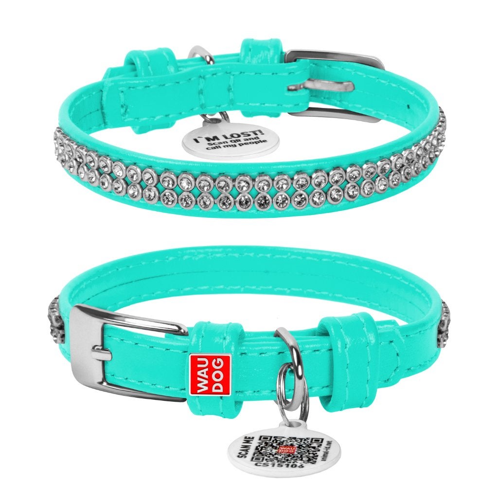 WAUDOG Glamour Halsband Leder Mint XXS Nek 19-25 cm KOOPJE!, Ophalen of Verzenden, Handgemaakt, Nieuw