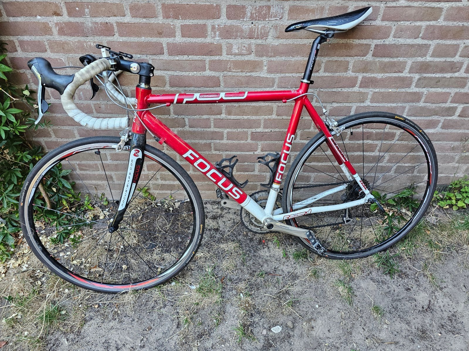 Focus racefiets - Goed onderhouden met nieuwe buitenbanden, 28 inch, Gebruikt, Aluminium, Meer dan 20 versnellingen