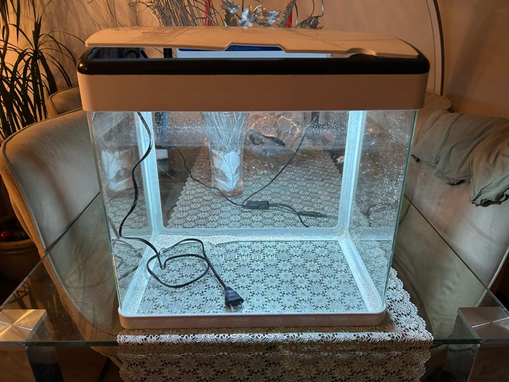 Aguarium, Dieren en Toebehoren, Vissen | Aquaria en Toebehoren, Ophalen