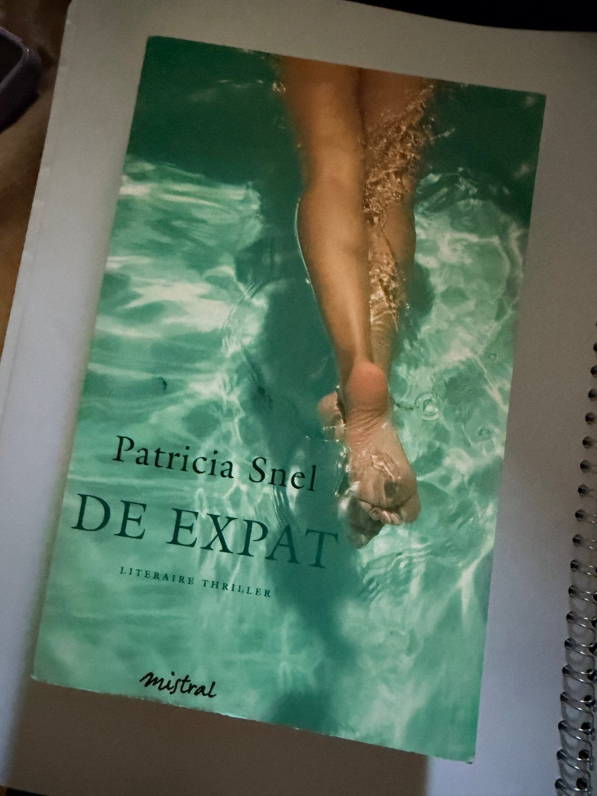 De Expat - Patricia Snel (Literaire thriller), Ophalen of Verzenden, Nieuw, Nederland