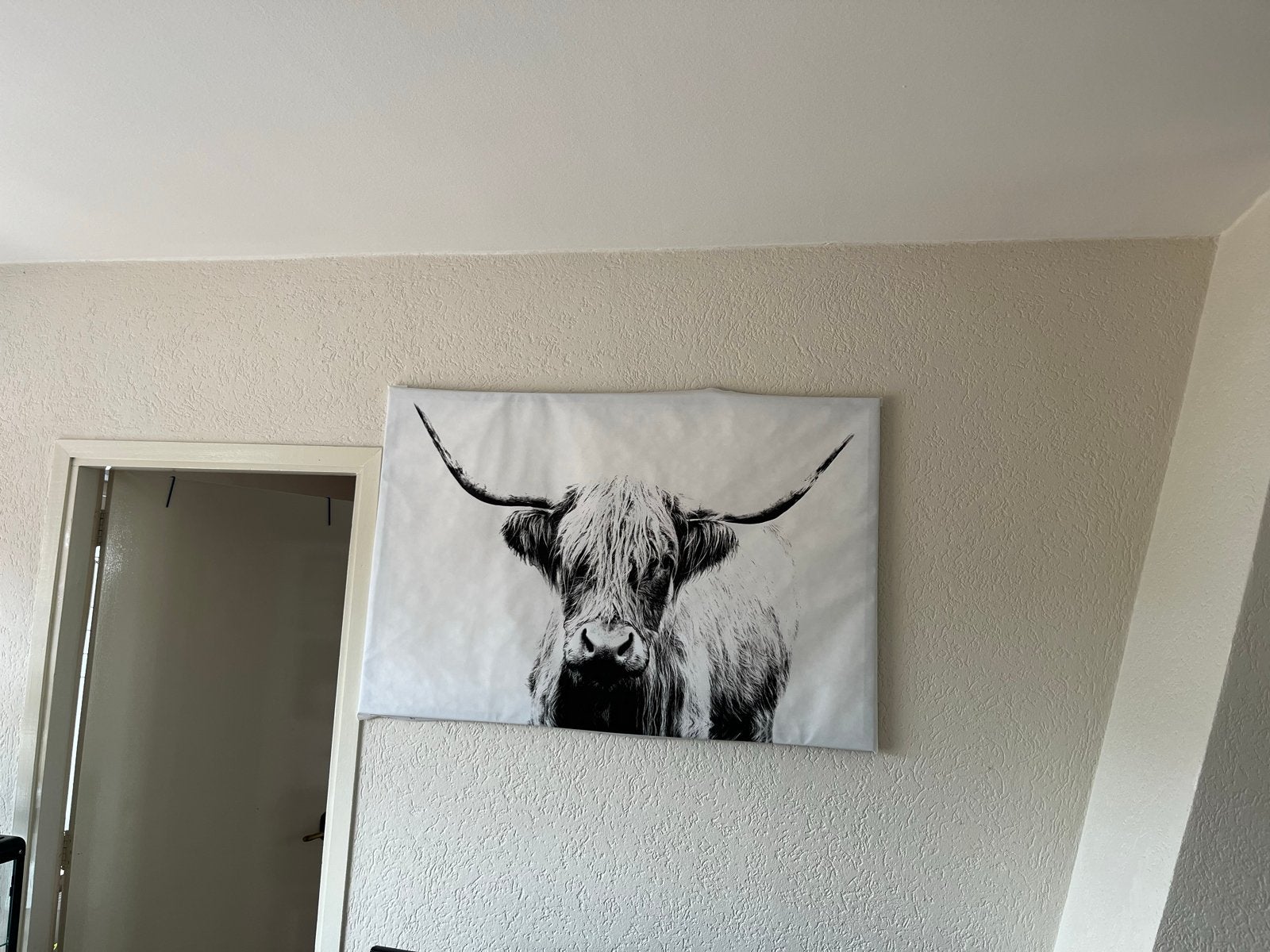 Schilderij Schotse Hooglander zwart-wit, Ophalen, Gebruikt, Schilderij, 75 tot 100 cm