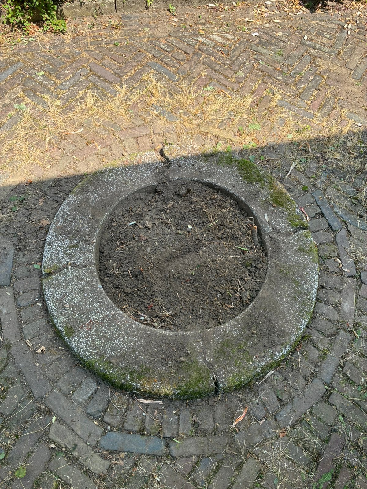 4 stuks ronde 90 graden stoeprand, Ophalen, Overige typen, Zo goed als nieuw, Minder dan 5 m²