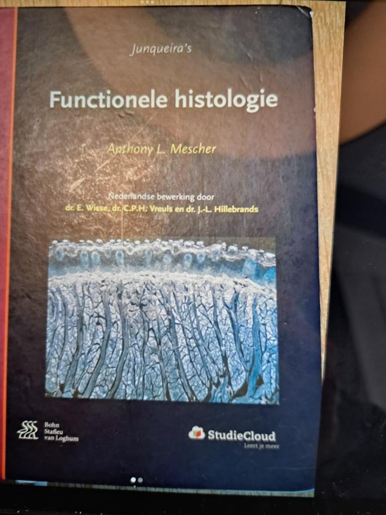 Studieboek Functionele Histologie - Zeer Net, Boeken, Studieboeken en Cursussen, Ophalen of Verzenden, Beta, Anthony L. Mescher
