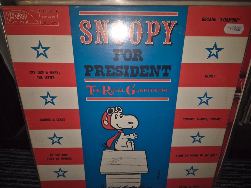Snoopy, Verzenden, Gebruikt, 12 inch, Poprock