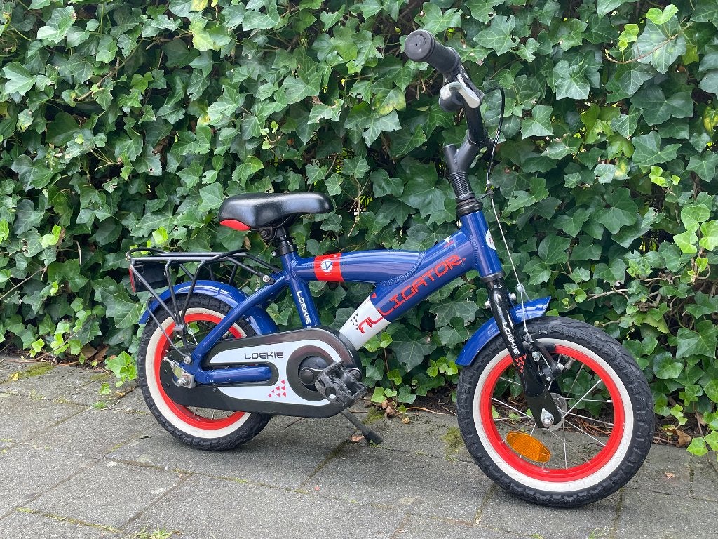 Loekie 12 inch kinderfiets, Ophalen, Gebruikt, Minder dan 16 inch, Loekie