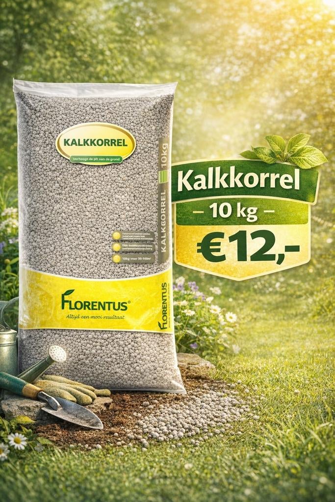 Florentus Kalkkorrel 10kg - Verhoogt de pH van de grond, Ophalen