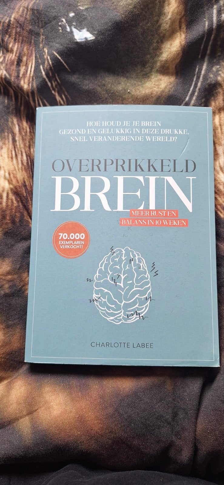 Overprikkeld Brein - Meer rust en balans in 10 weken, Boeken, Ophalen of Verzenden, Zo goed als nieuw, Klinische psychologie, Charlotte Labee