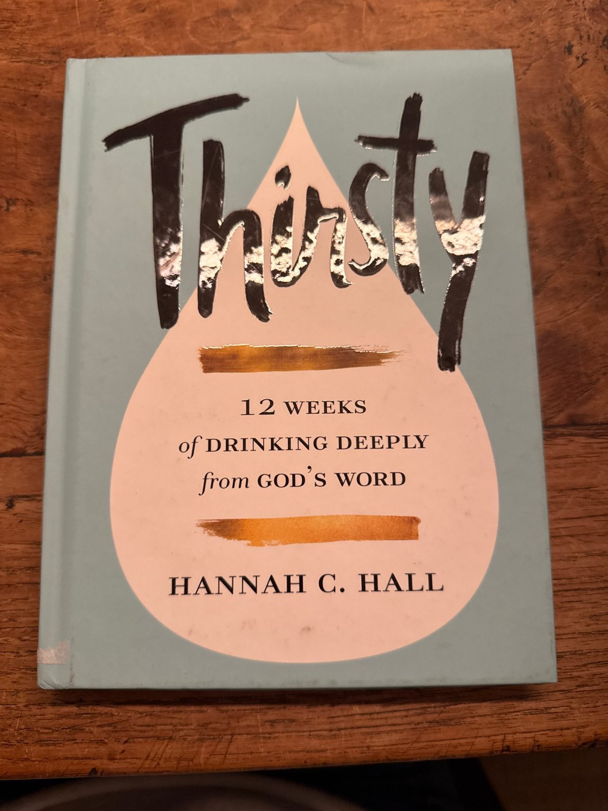Thirsty: 12 weken diep drinken uit Gods Woord, Ophalen of Verzenden, Zo goed als nieuw, Christendom | Protestants