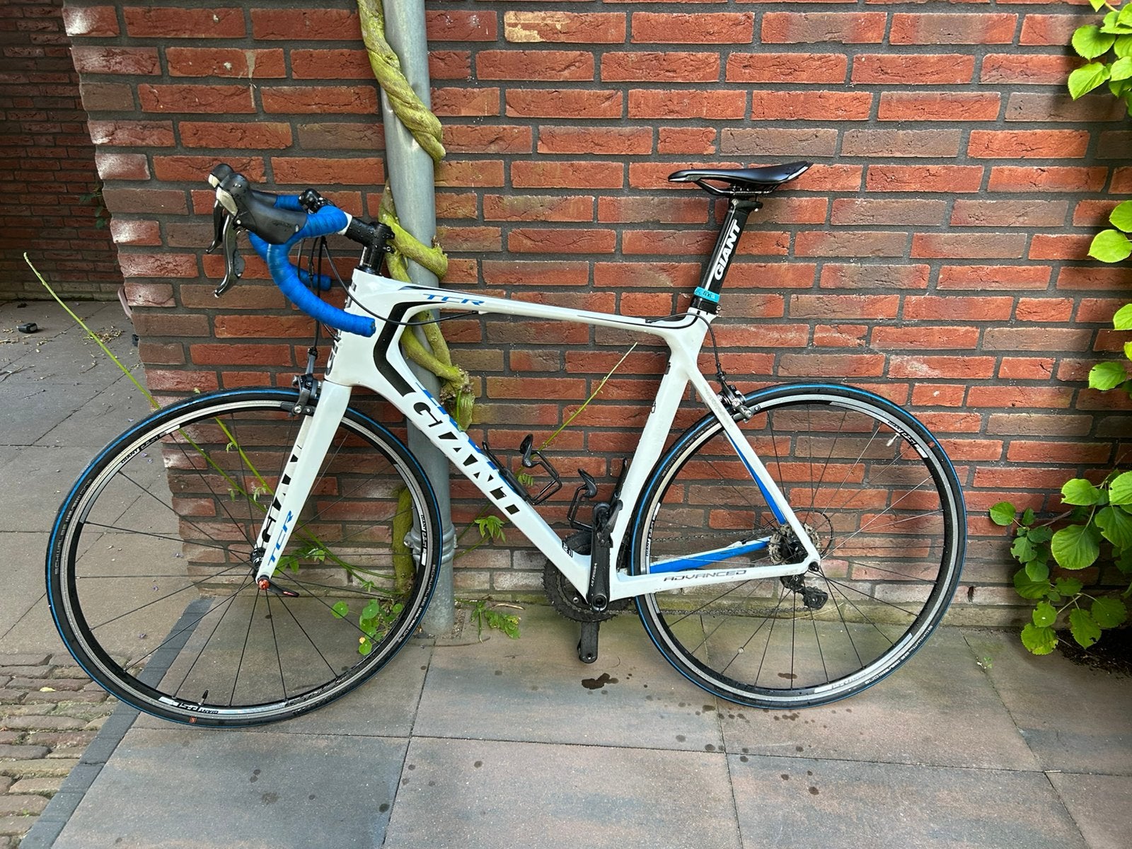 Giant TCR Carbon en Ultegra afgemonteerd, Ophalen, 28 inch, Gebruikt, Carbon