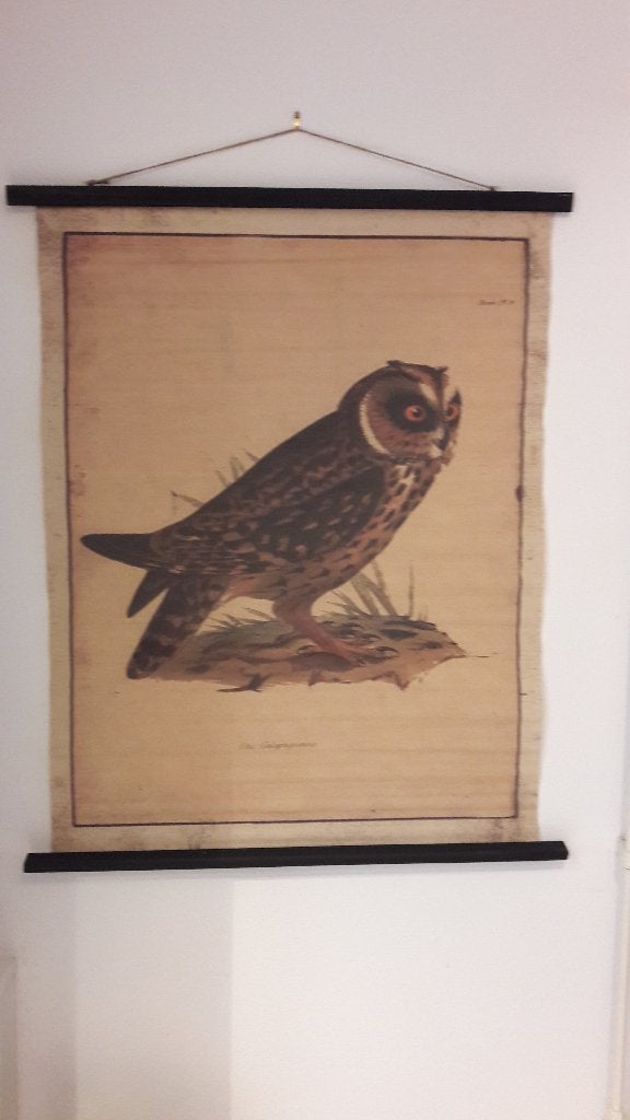 linnen wanddecoratie uil, Huis en Inrichting, Wandhanger, Nieuw, 100 cm, Ophalen of Verzenden