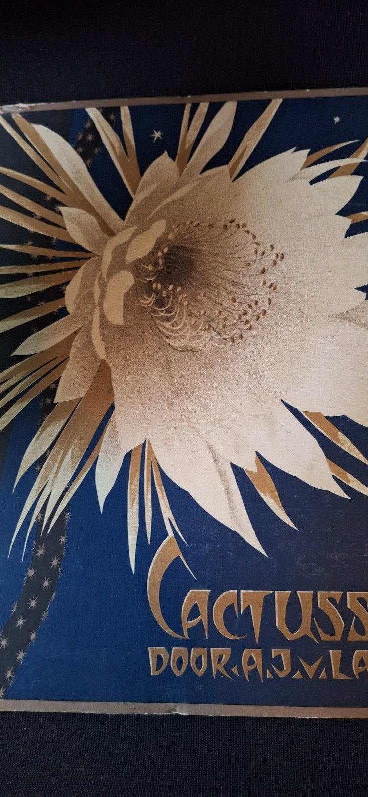Cactussen door A.J.M. Laan - Zeldzaam boek over cactussen, Ophalen of Verzenden, Gelezen, Overige onderwerpen, A.J.M. Laan