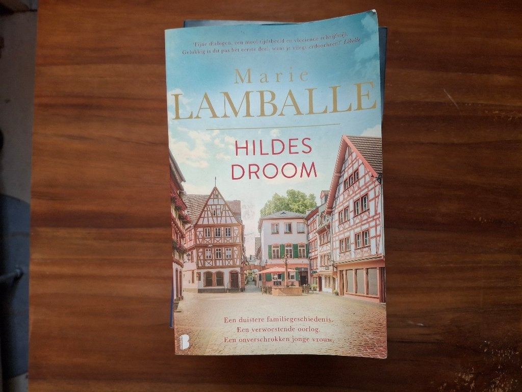 Marie Lamballe, Boeken, Ophalen of Verzenden, Gelezen