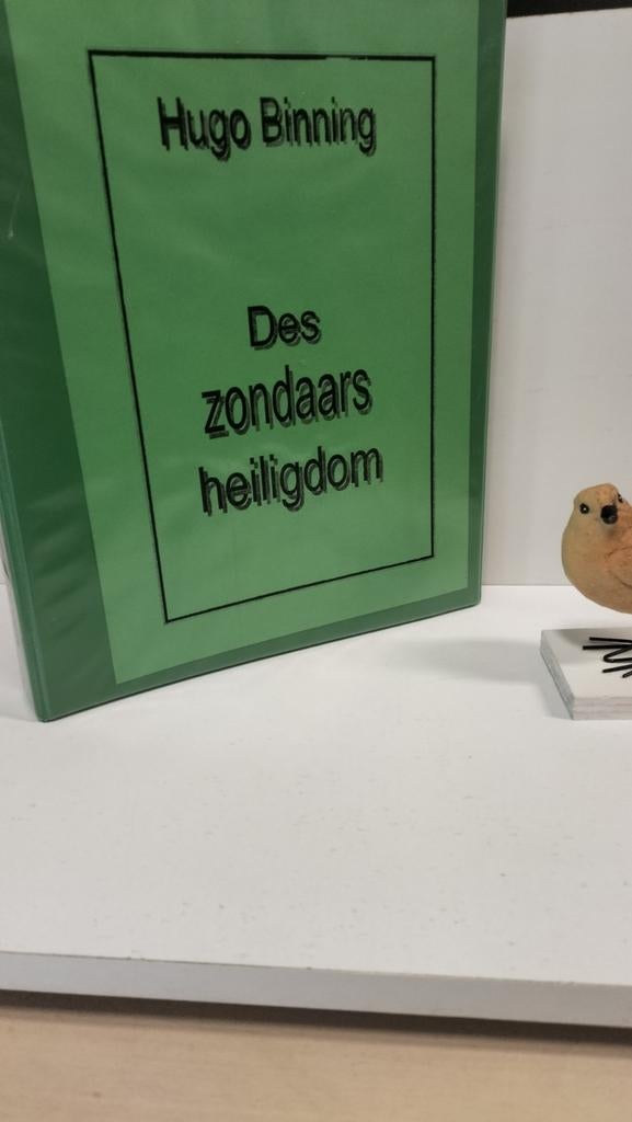Binning, Hugo:  Des zondaars heiligdom Multimap, Ophalen of Verzenden, Gelezen, Christendom | Protestants