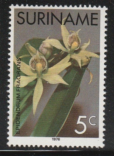Suriname 1975 - Orchideeën, Ophalen, Postfris