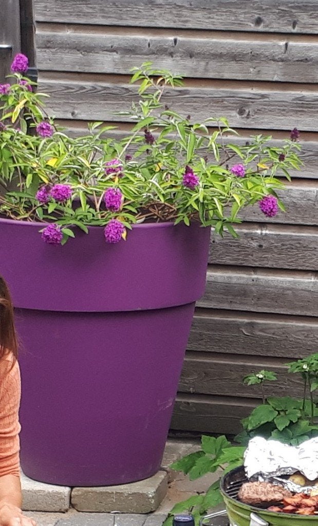 Bloempot - plantenbak kunststof tuin, Ophalen, Kunststof, Gebruikt, Minder dan 60 cm
