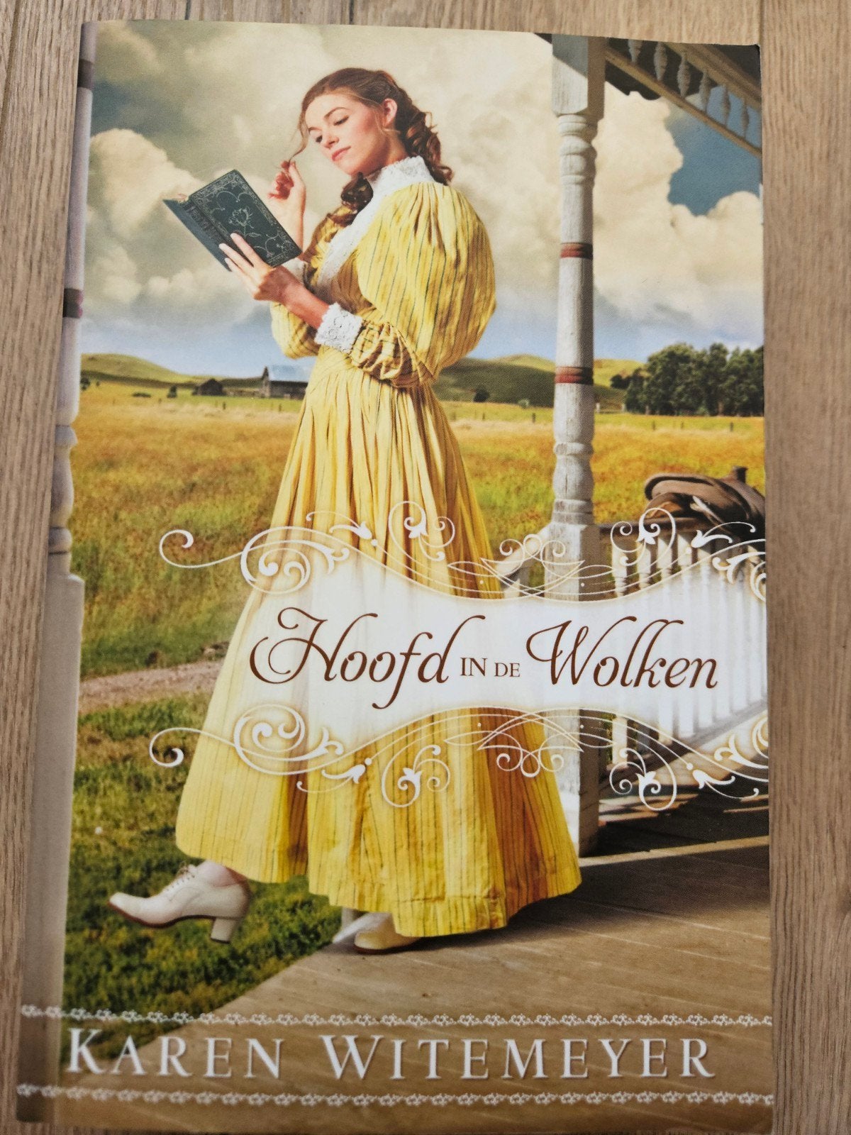 Hoofd in de Wolken - Karen Witemeyer (Roman), Boeken, Ophalen of Verzenden, Zo goed als nieuw, Karen Witemeyer, Nederland