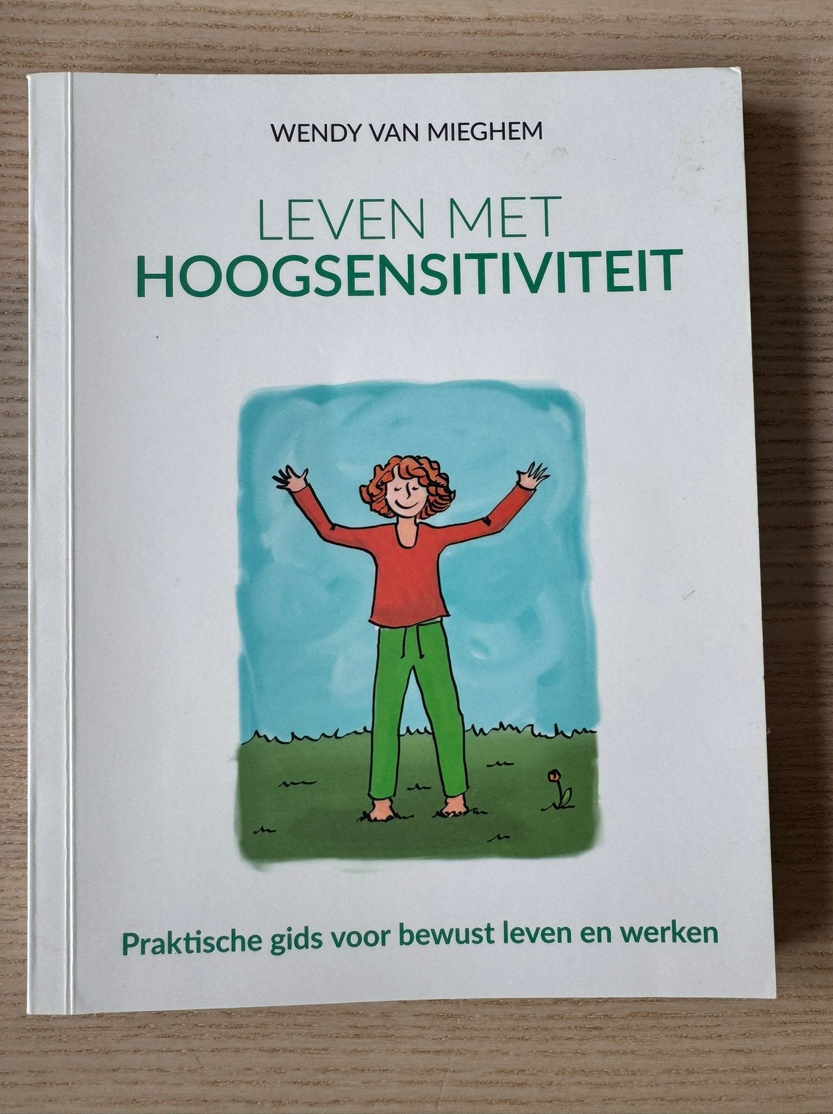 Leven met hoogsensitiviteit Wendy van Mieghem, Verzenden, Zo goed als nieuw, Functieleer of Neuropsychologie
