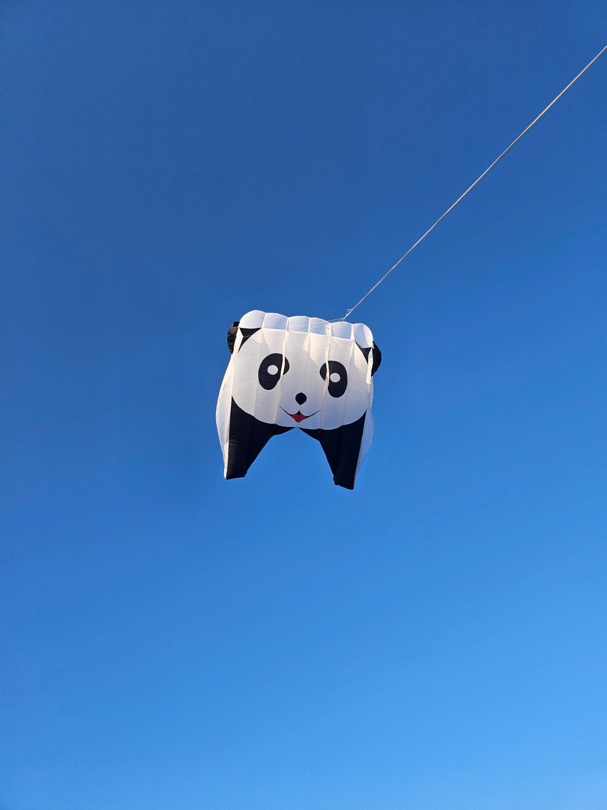 Grote 9m² Flowform Panda Vlieger - Uniek Design, Gebruikt, Onbekend, Ophalen of Verzenden, Eenlijns