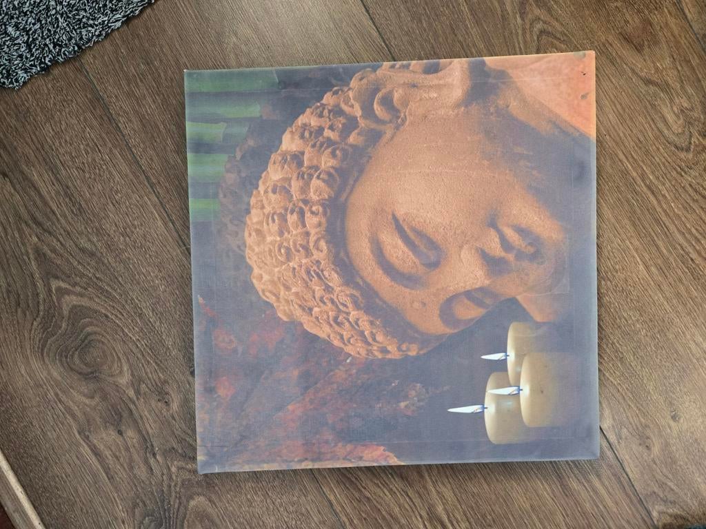 Canvas Schilderij mer ledverlichting, Huis en Inrichting, Woonaccessoires | Schilderijen, Tekeningen en Foto's, Ophalen, Minder dan 50 cm