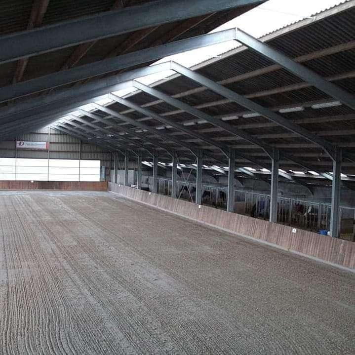 Paardrijles op Z2 paarden of op uw eigen paard, Verzorging of Verzorgpony's