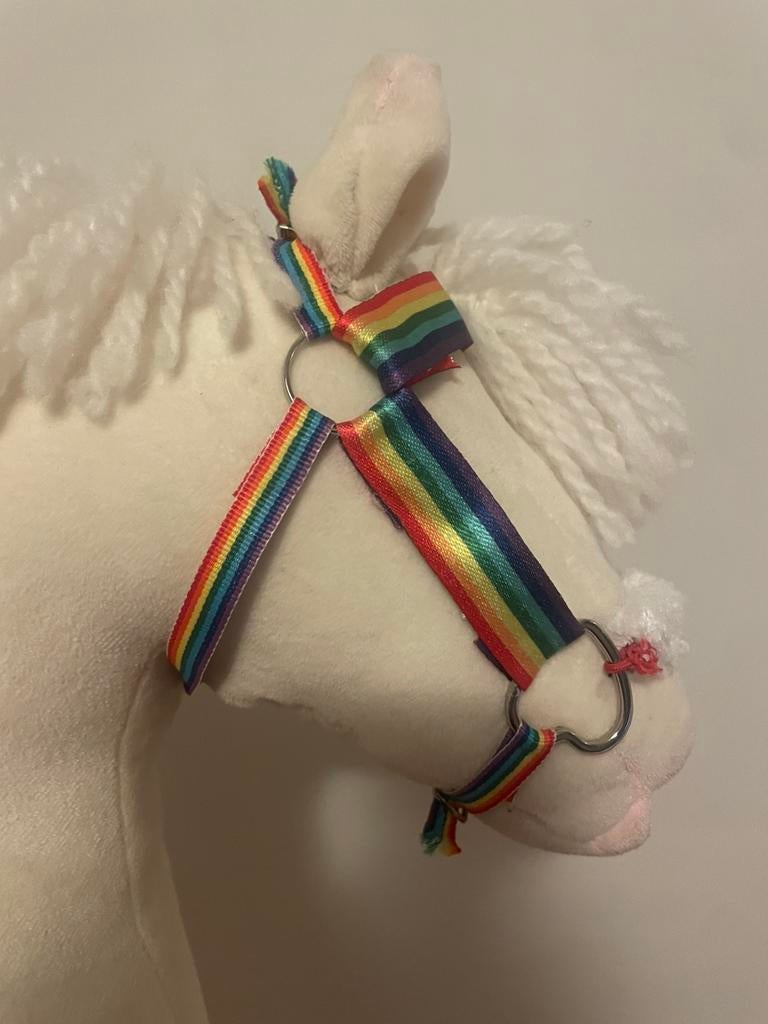 Regenboog hobby horse hoofdstel, Hobby en Vrije tijd, Overige Hobby en Vrije tijd, Ophalen of Verzenden, Zo goed als nieuw