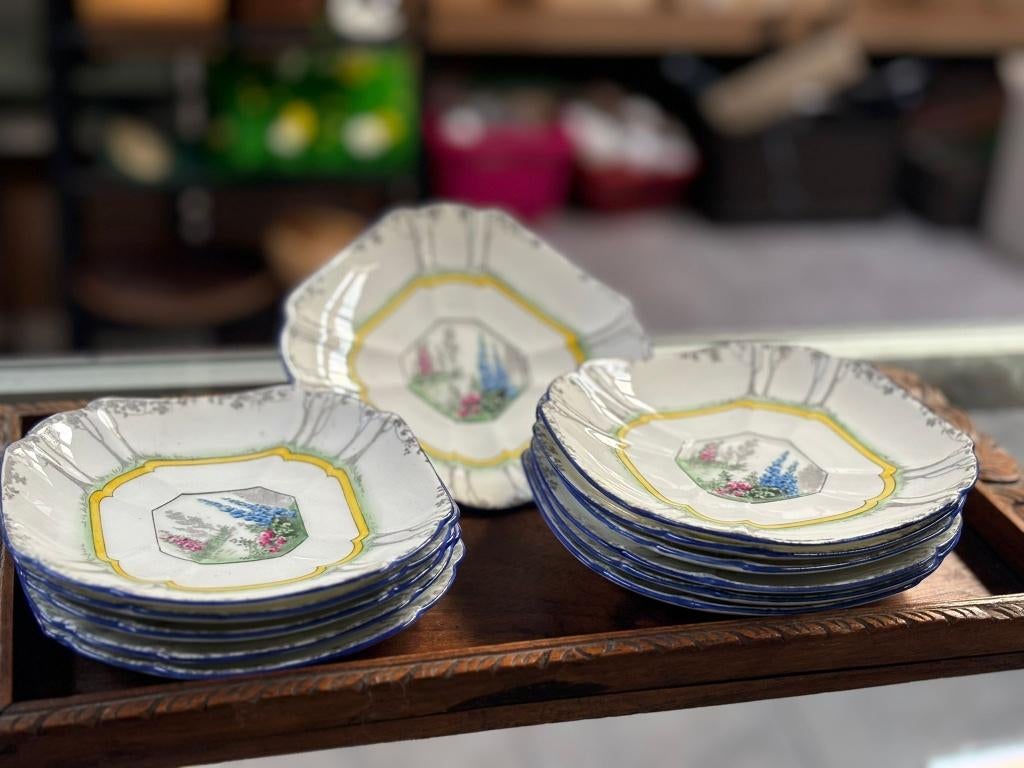 Zeldzaam Blue Iris porseleinen servies van Shelley England, Ophalen