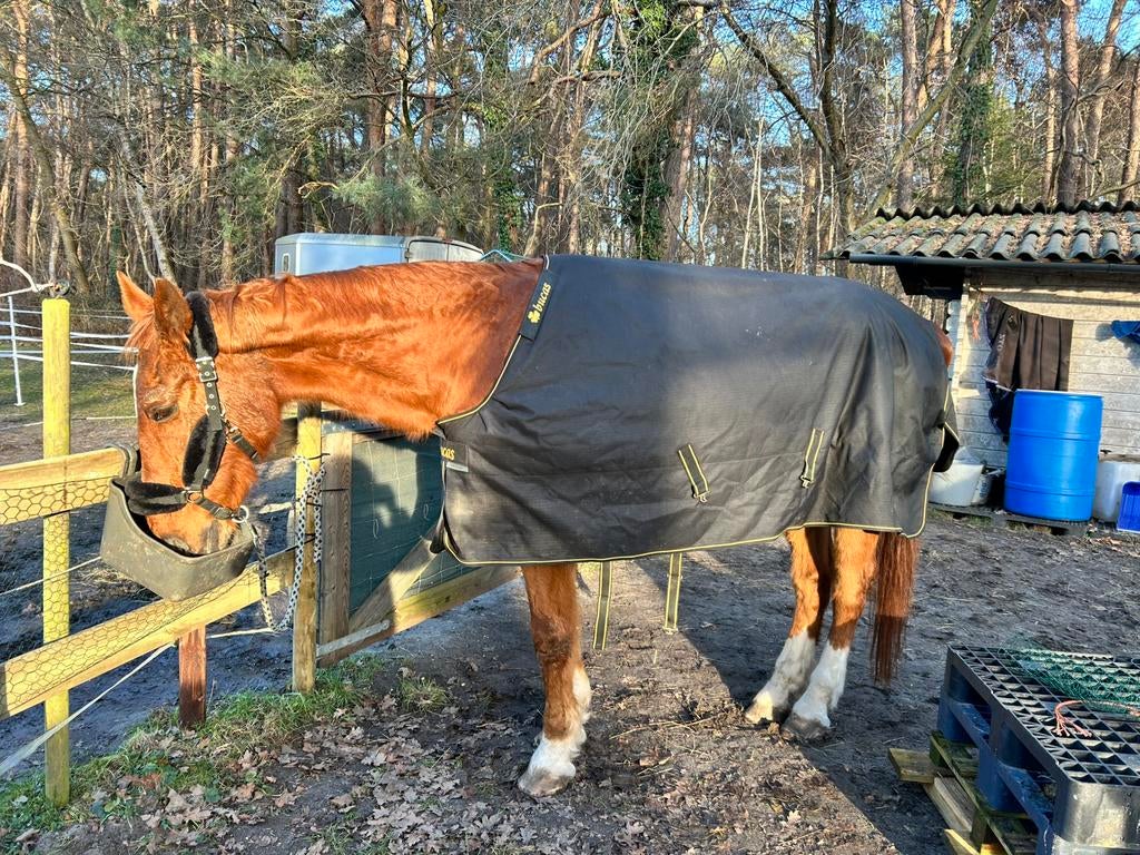 Bucas irish turnout 6.9, Dieren en Toebehoren, Ophalen of Verzenden, Zo goed als nieuw, Deken