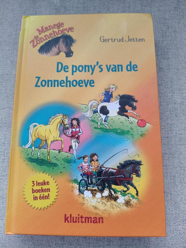 De Pony's van de Zonnehoeve - Gertrud Jetten, Boeken, Kinderboeken | Jeugd | onder 10 jaar, Gelezen, Fictie algemeen, Ophalen of Verzenden