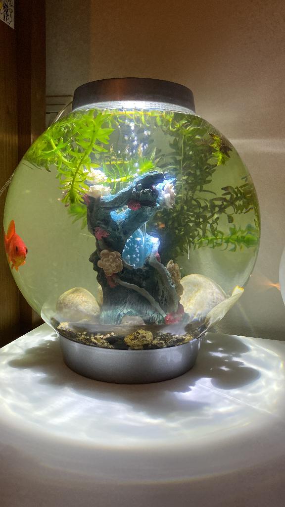 BiOrb Aquarium rond 15 Liter, Dieren en Toebehoren, Vissen | Aquaria en Toebehoren, Ophalen of Verzenden, Zo goed als nieuw, Leeg aquarium