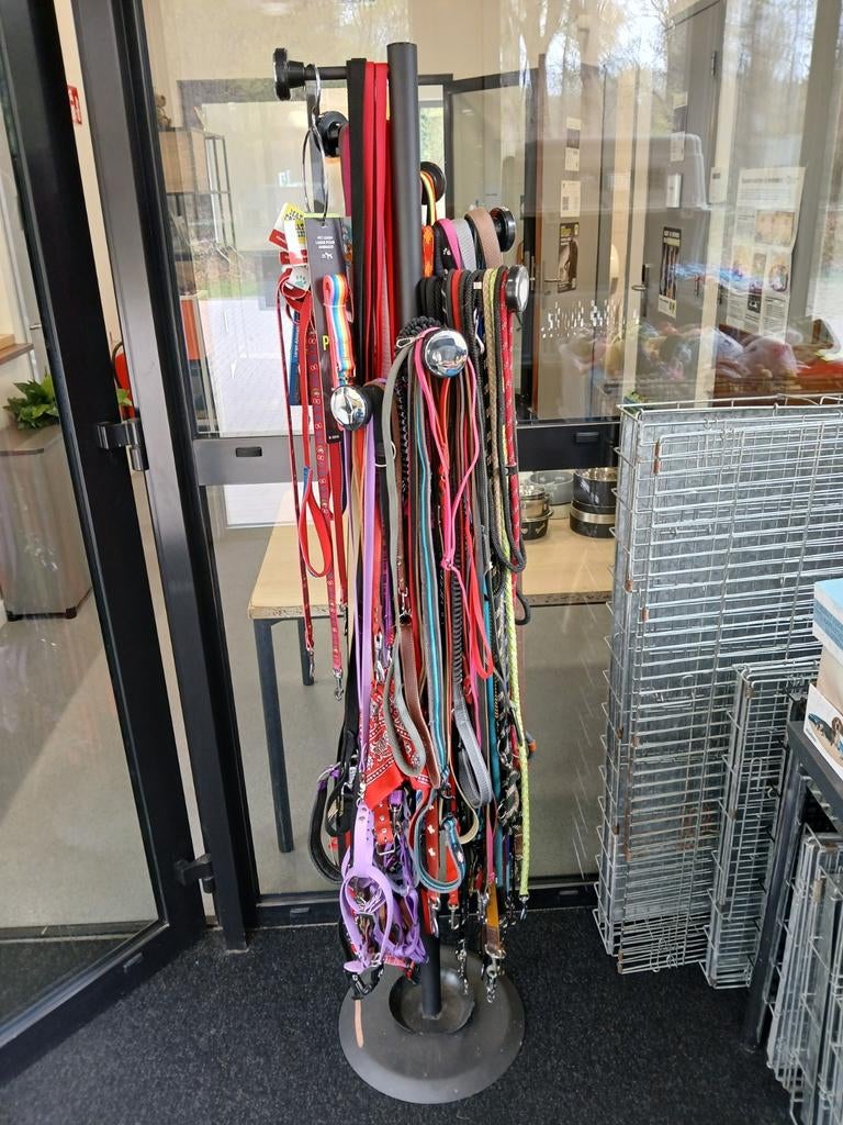 Honden riemen en complete setjes, Ophalen, Gebruikt