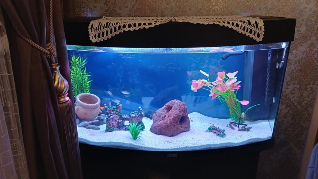 Mooi aquarium, Ophalen, Zo goed als nieuw, Leeg aquarium