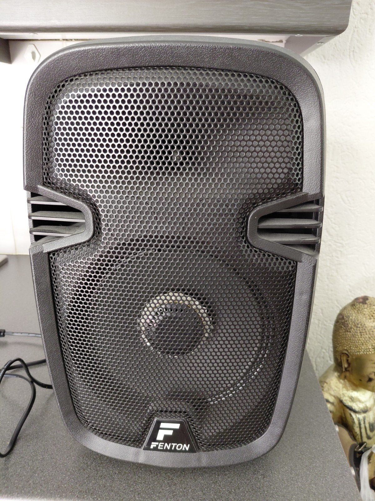 Draagbare Fenton FT8LED Portable Speaker met kabel, Overige merken, Gebruikt, Ophalen of Verzenden, Draagbare speaker