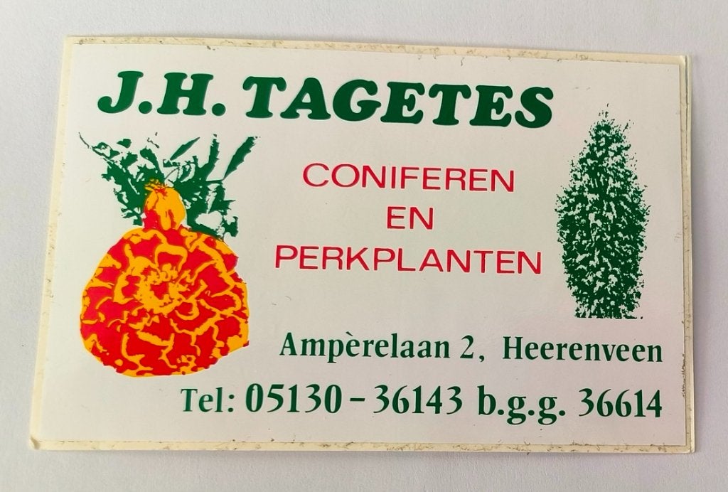 Sticker J.H. Tagetes Coniferen en perk-planten Heerenveen, Ophalen of Verzenden, Zo goed als nieuw, Bedrijf of Vereniging