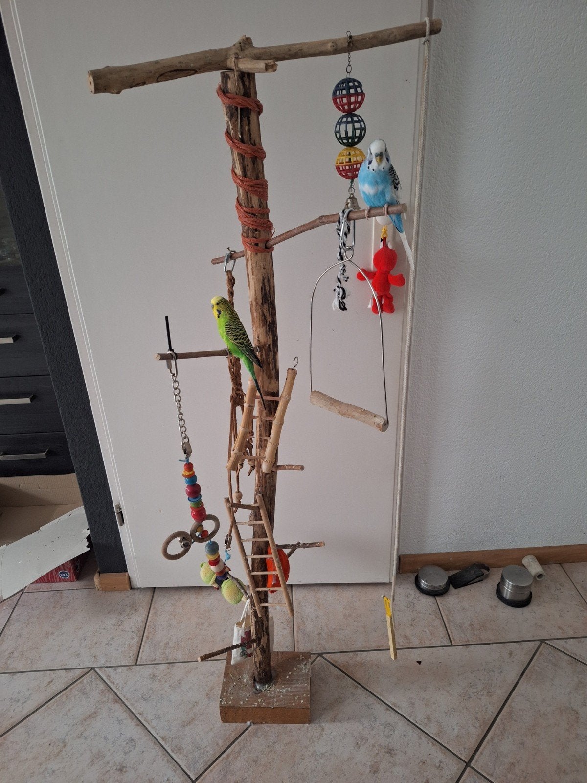 Speelboom voor parkietachtige vogels klimstok, Ophalen, Hout, Vogelkooi